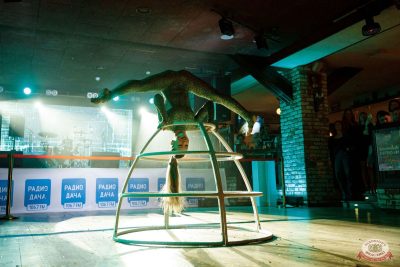 Макс Фест «Египет», 8 ноября 2025 - Ресторан «Максимилианс» Новосибирск - 20